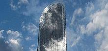 Zielona Office